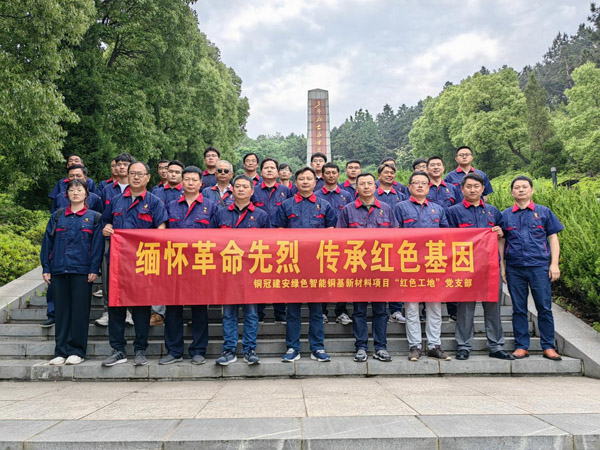 铜基新质料项目党支部开展党日运动