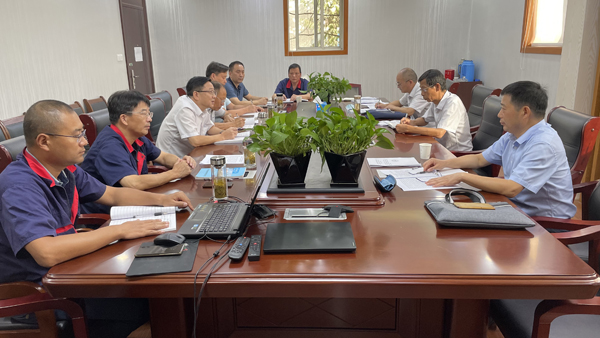 集团公司督查组到公司开展督查事情