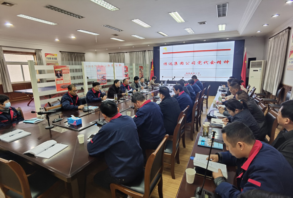 公司转达集团公司第三次党代会精神