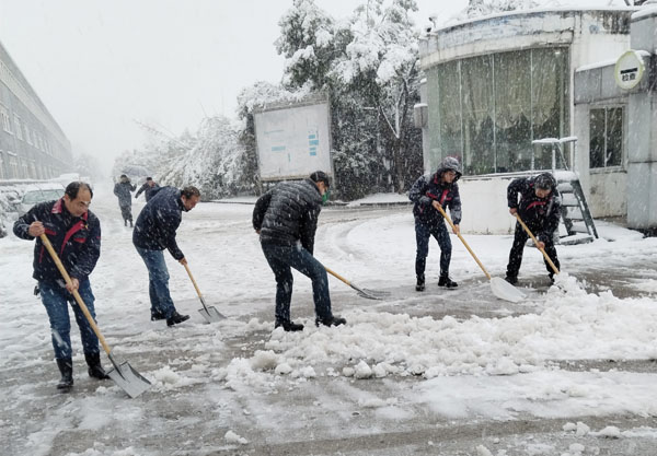 公司开展铲冰除雪运动