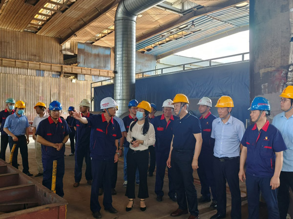 省国资委到公司督导环保整改事情