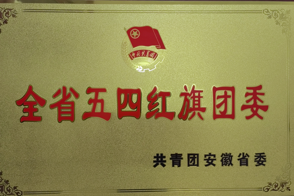 公司团委获得一项省级声誉