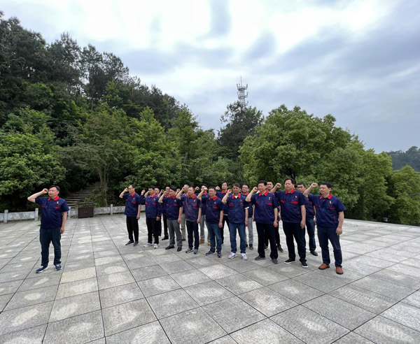 铜基新质料项目党支部开展党日运动