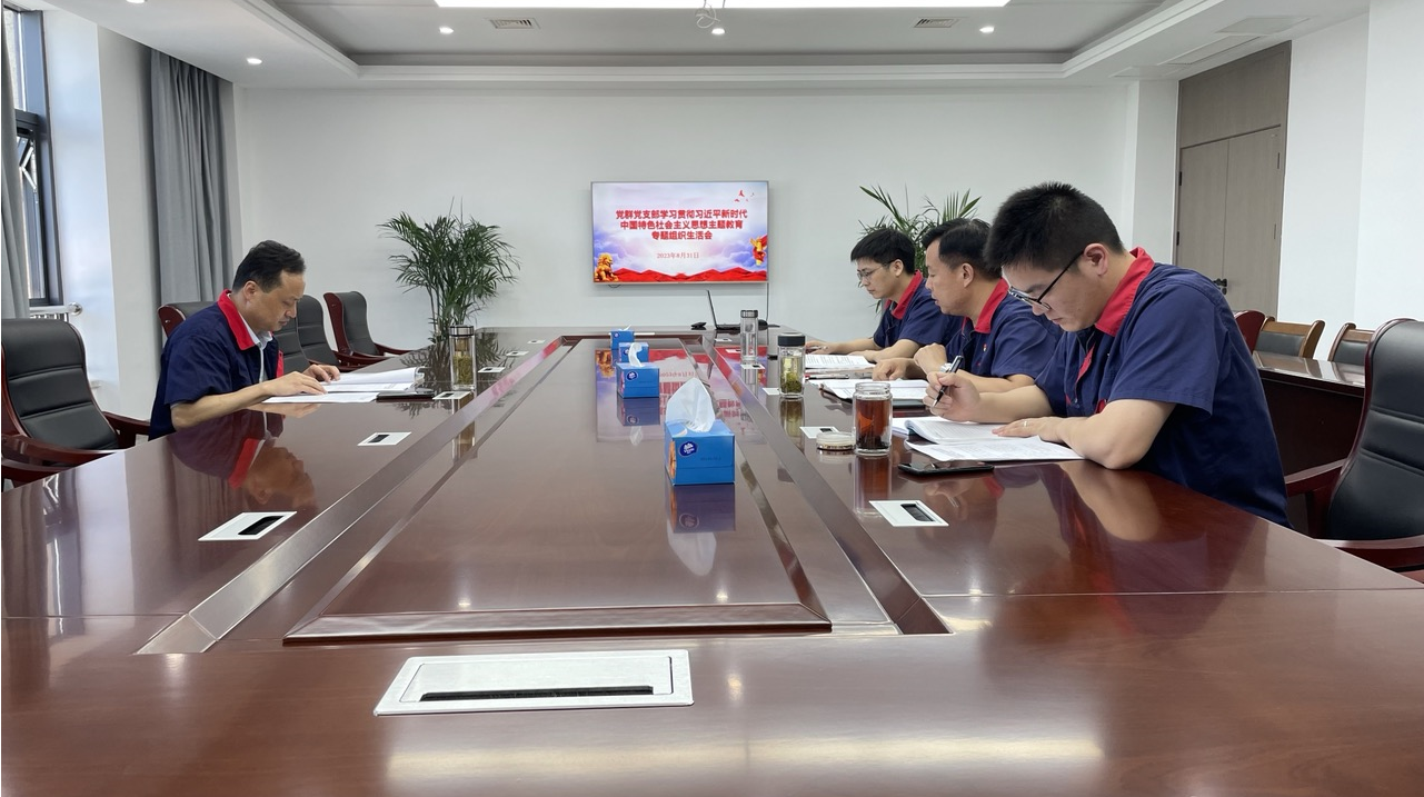 公司各党支部召开学习贯彻习近平新时代中国特色社会主义头脑主题教育专题组织生涯会