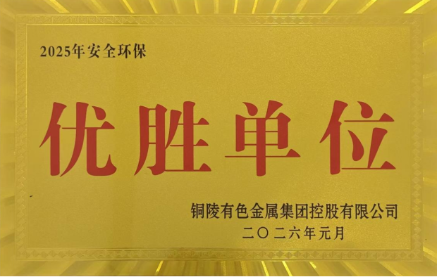公司荣获集团公司2025年度“生命至上，，，，，绿色生长”运动多项声誉